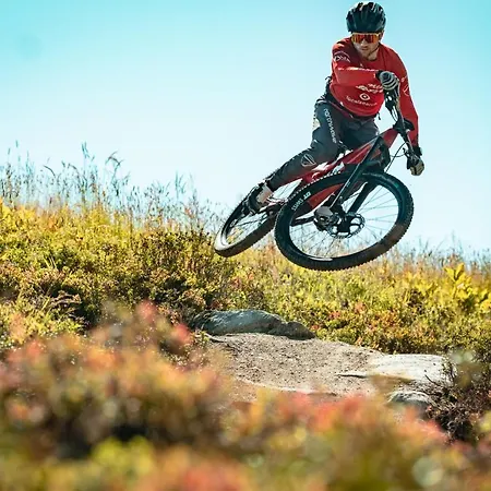 Отель Catrina Дизентис