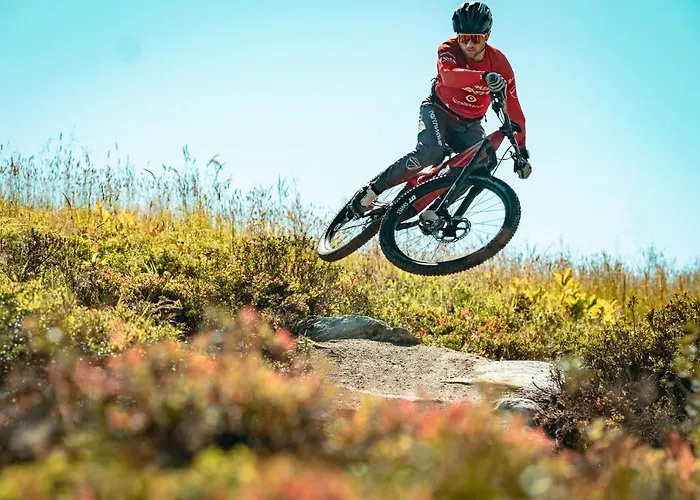 Отель Catrina Дизентис