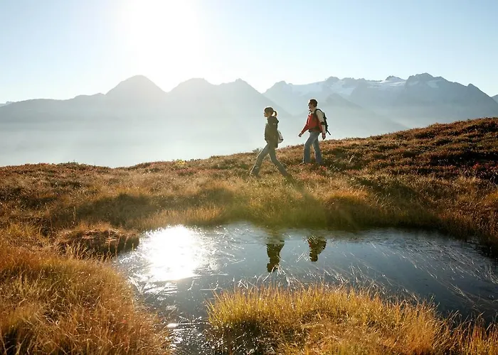 Catrina Отель Дизентис